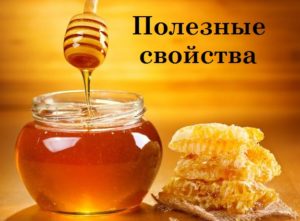 Useful properties of honey .. Which honey is healthier