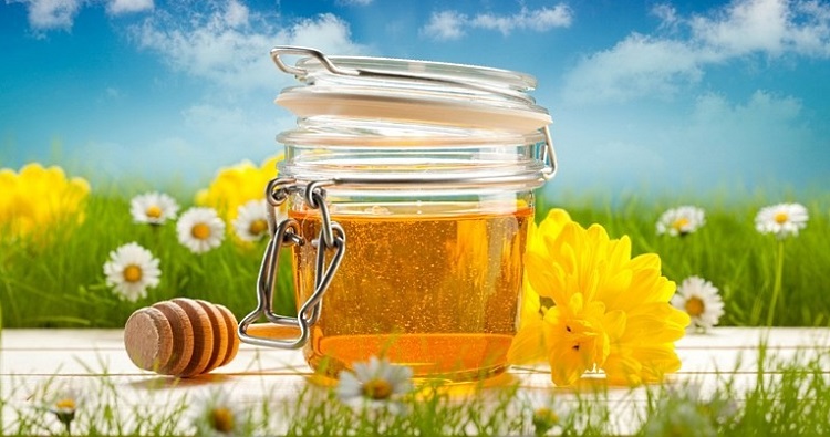 Полезные свойства меда.. Какой мед полезнее