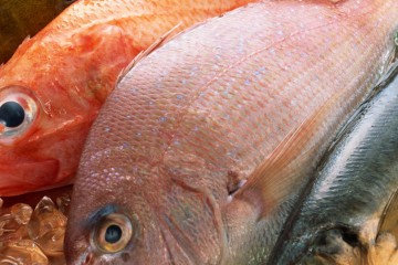 What is the healthiest fish