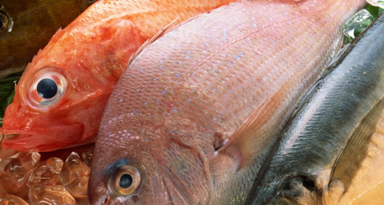 What is the healthiest fish
