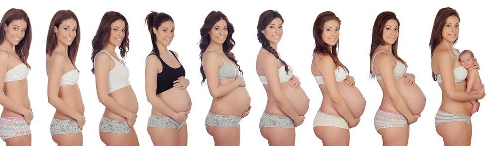 Как растет живот во время беременности?