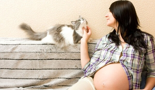 домашние животные и беременность