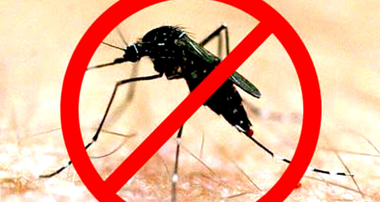Эффективное средство от комаров
