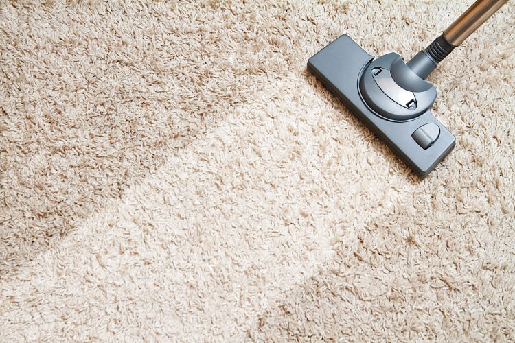 carpet cleaning cleaning